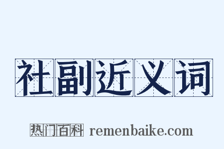 社副近义词是什么意思的图片
